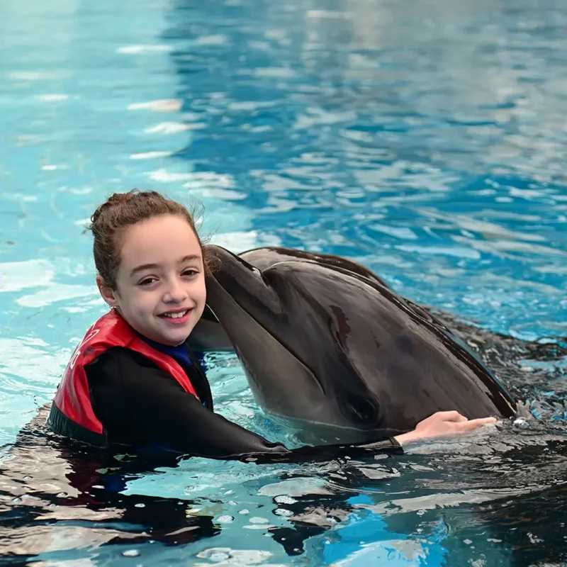 Swimming with dolphins – Dolphina Park