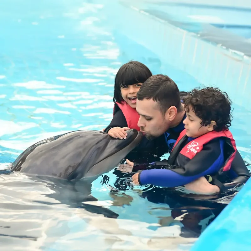 Visitor swimming with a dolphin at Dolphina Park – interactive marine experience